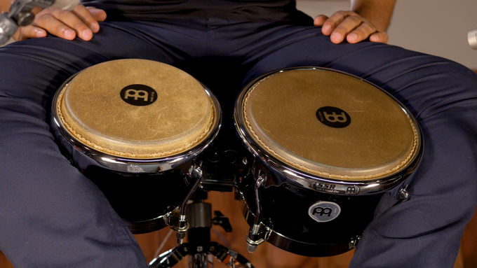Fiberglass Bongo, True Skin Cow Head video