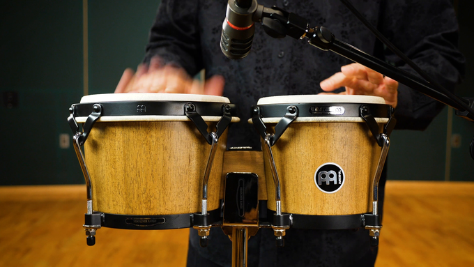 Wood Bongo, Walnut Brown video